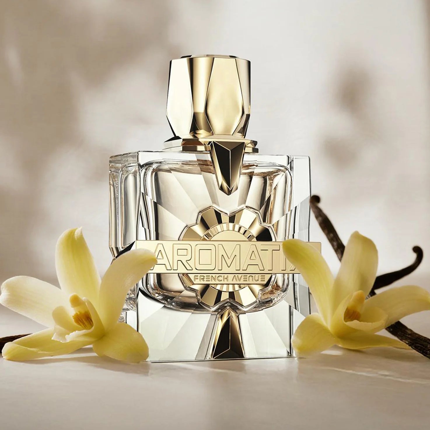 Profumo French Avenue Aromatix X Xandal EDP 100ml - Unisex