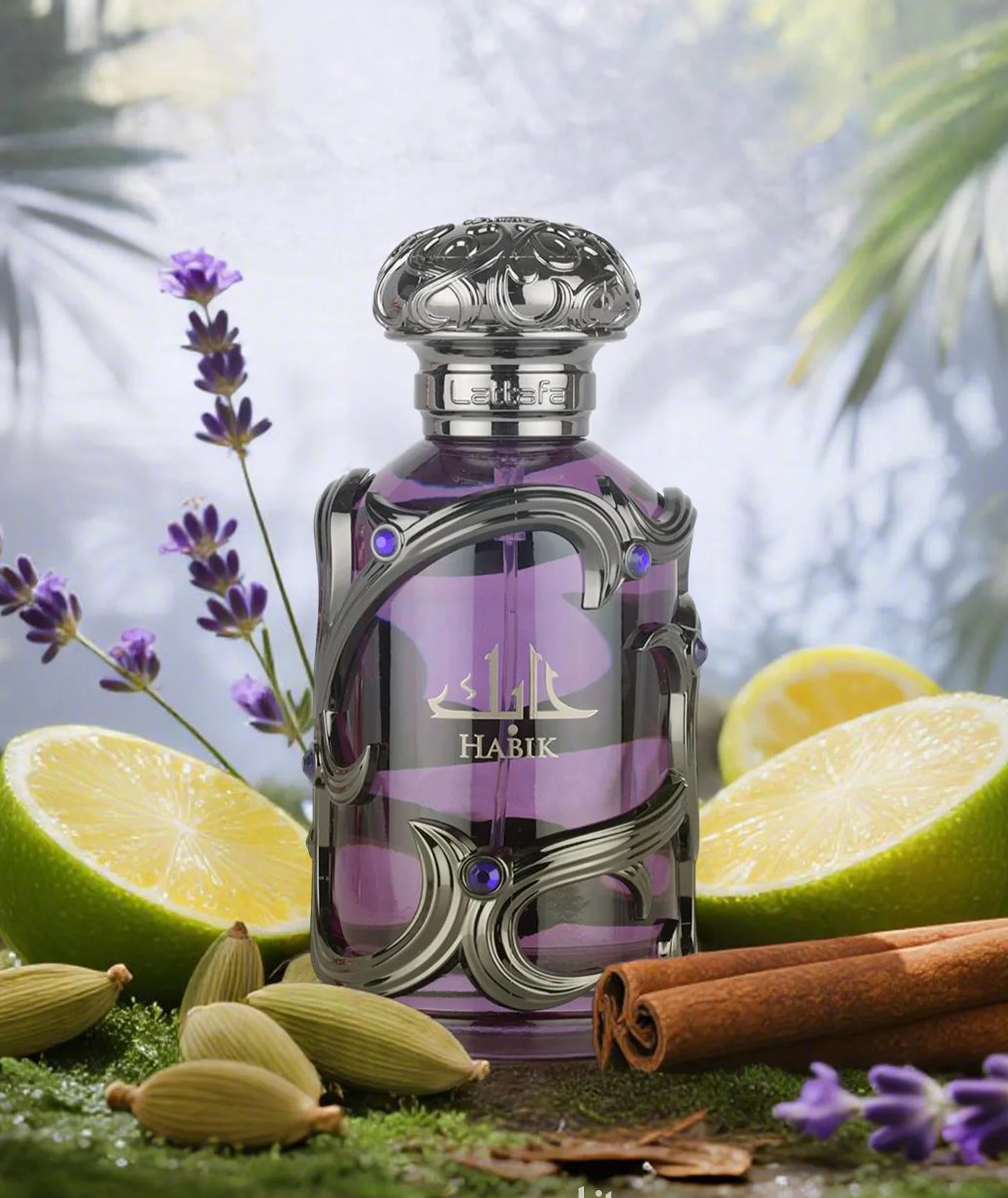 Profumo Lattafa Habik EDP 100ml - Uomo
